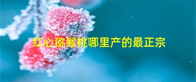 红心猕猴桃哪里产的最正宗