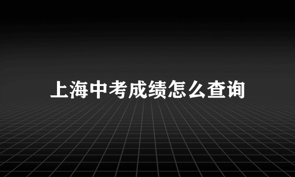 上海中考成绩怎么查询