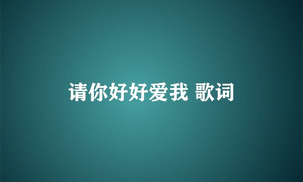 请你好好爱我 歌词