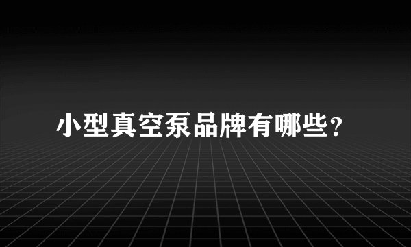 小型真空泵品牌有哪些？