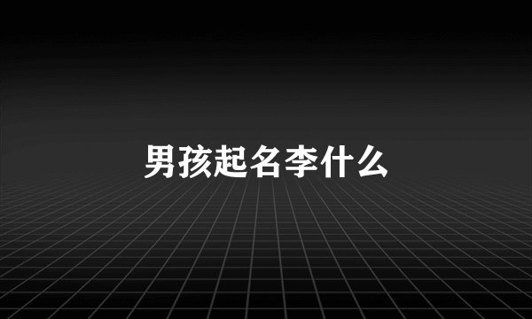 男孩起名李什么
