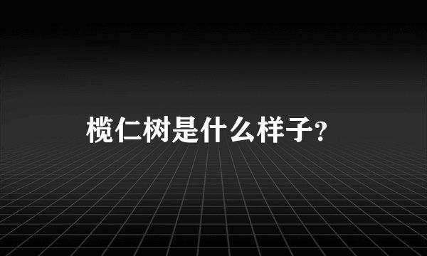 榄仁树是什么样子？