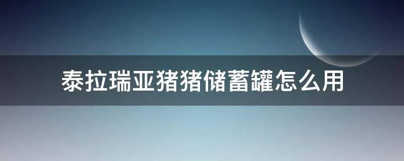 泰拉瑞亚猪猪储蓄罐怎么用