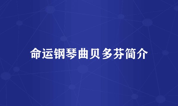 命运钢琴曲贝多芬简介