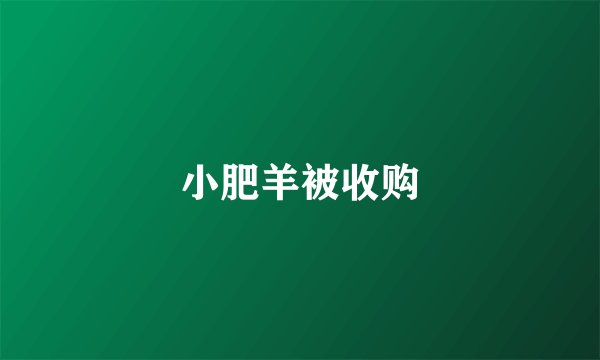 小肥羊被收购