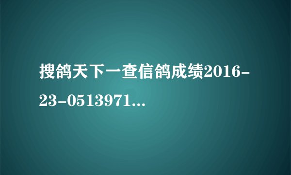 搜鸽天下一查信鸽成绩2016-23-0513971是哪里的信鸽和成绩。