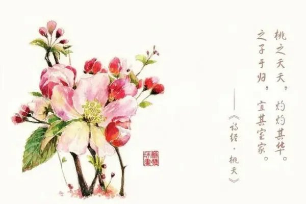 诗经中最唯美的名字