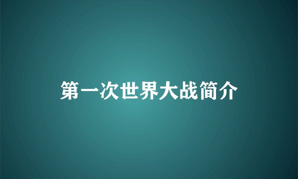 第一次世界大战简介