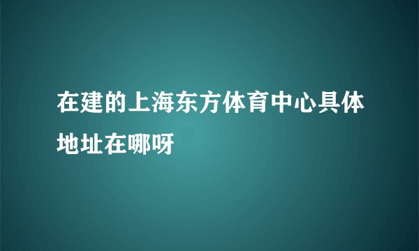 在建的上海东方体育中心具体地址在哪呀