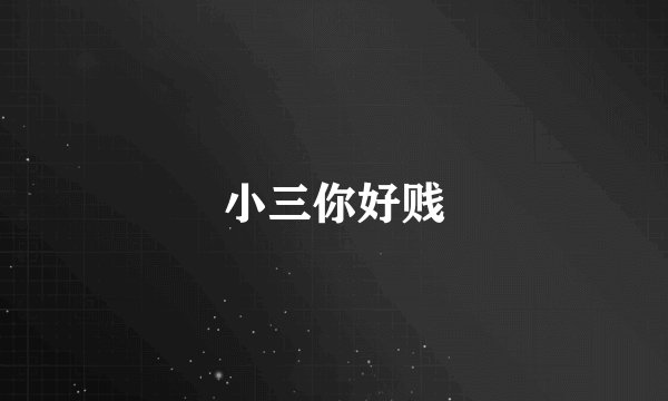 小三你好贱