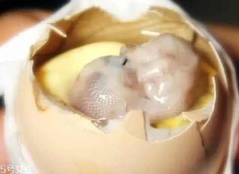 鸡仔胎怎么煮?鸡仔胎这样做更美味