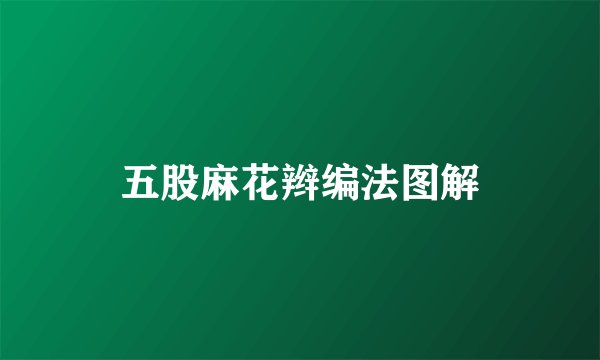 五股麻花辫编法图解