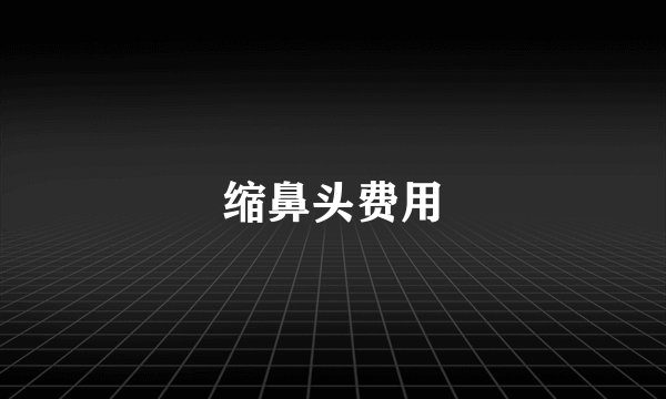 缩鼻头费用