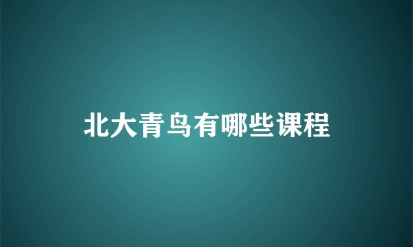 北大青鸟有哪些课程