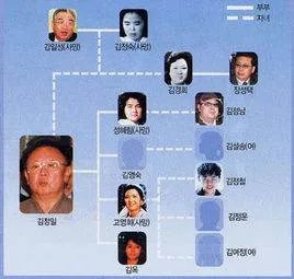 金惠敬的介绍