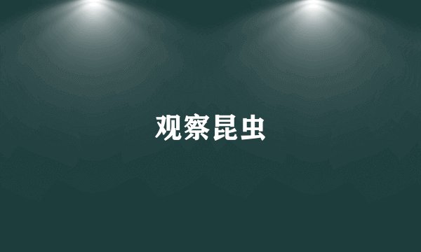 观察昆虫