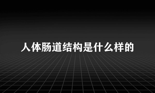 人体肠道结构是什么样的
