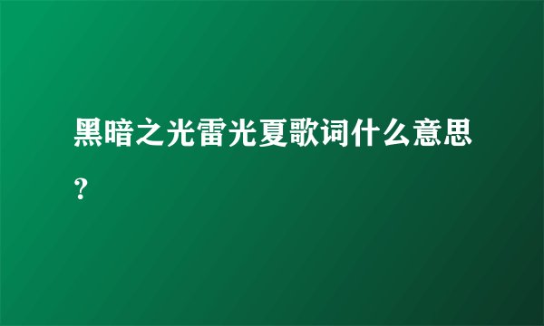 黑暗之光雷光夏歌词什么意思？