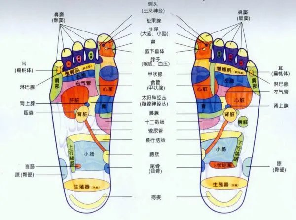 脚底穴位图?