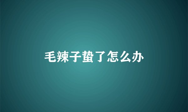 毛辣子蛰了怎么办