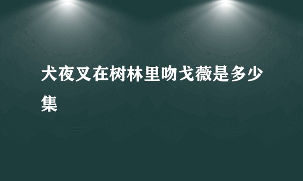 犬夜叉在树林里吻戈薇是多少集