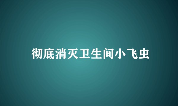  彻底消灭卫生间小飞虫
