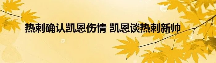 热刺确认凯恩伤情 凯恩谈热刺新帅