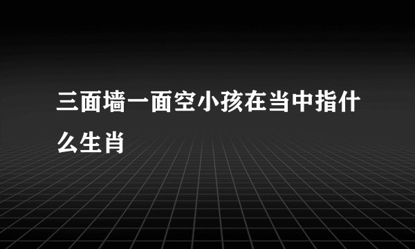 三面墙一面空小孩在当中指什么生肖