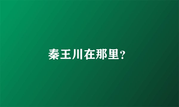 秦王川在那里？