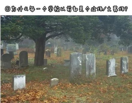 为何每个学校以前都是坟场火葬场（各个角度揭晓）
