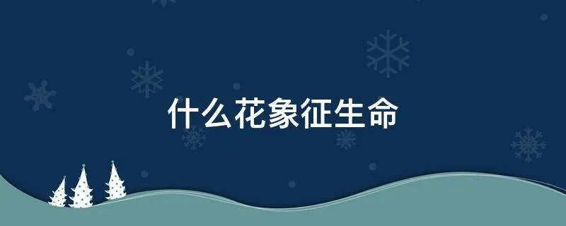 什么花象征生命