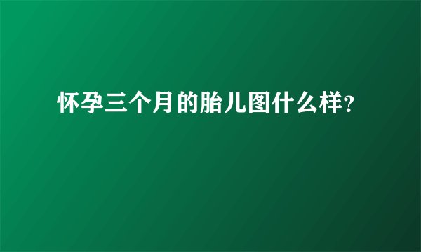 怀孕三个月的胎儿图什么样？