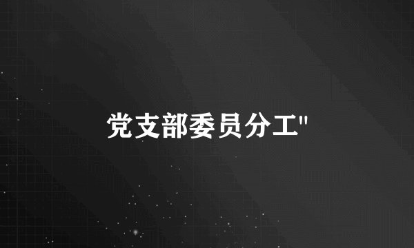 党支部委员分工