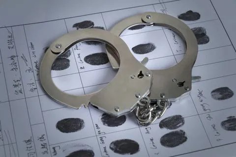 最新刑事上诉状范文