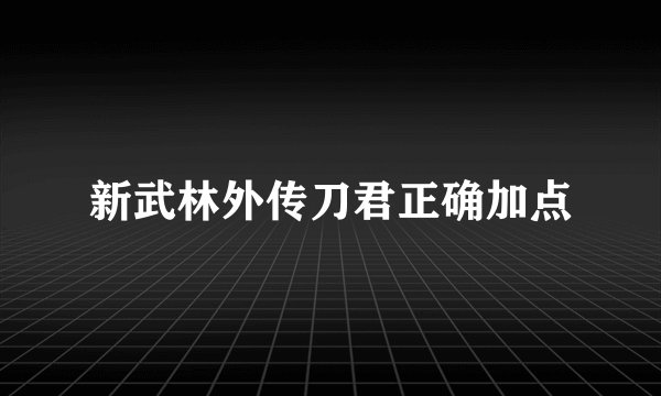 新武林外传刀君正确加点