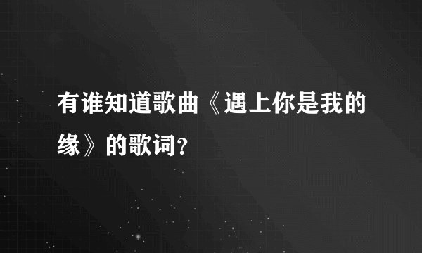有谁知道歌曲《遇上你是我的缘》的歌词？