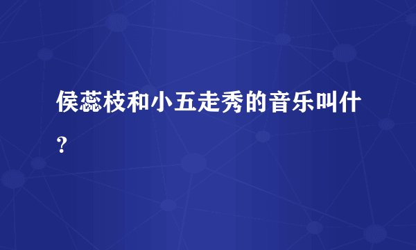 侯蕊枝和小五走秀的音乐叫什？