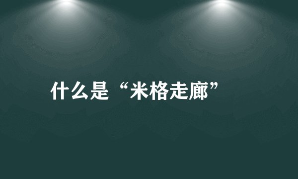 什么是“米格走廊”﹖