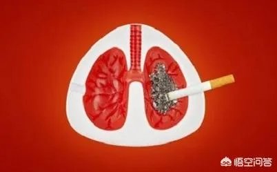 肺癌的的高危人群有哪些？