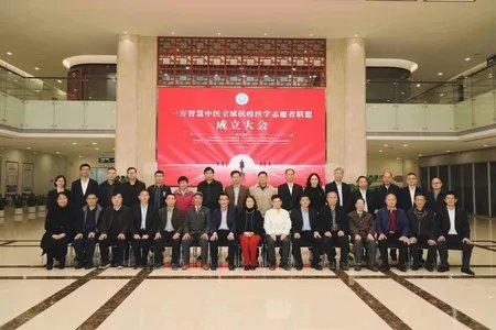 助力全球抗疫,一方智慧中医全球抗疫医学志愿者联盟成立