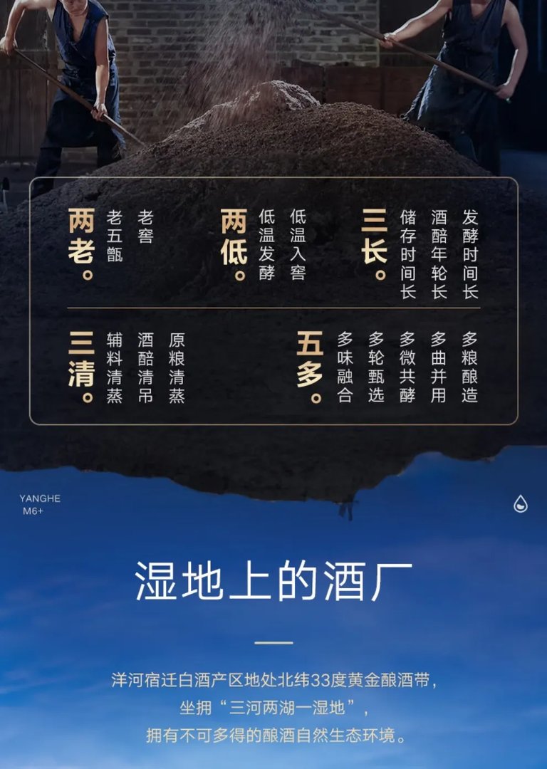 梦之蓝价格