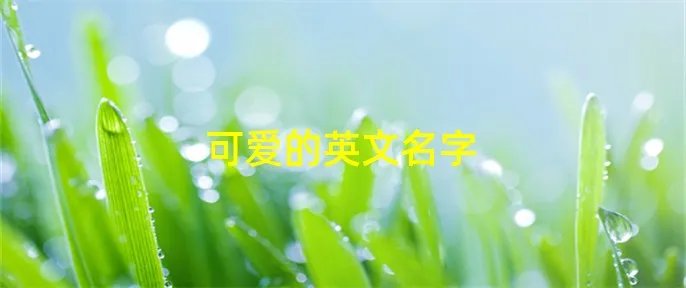 可爱的英文名字