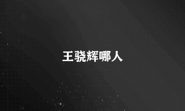 王骁辉哪人