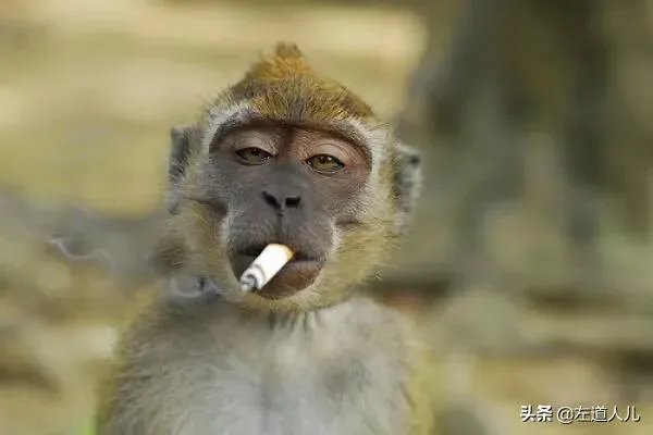 杨幂刘恺威布离婚你怎么看?