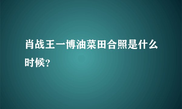 肖战王一博油菜田合照是什么时候？