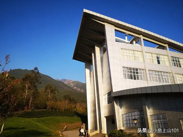 大理大学的樱花真的很多吗?好看吗?