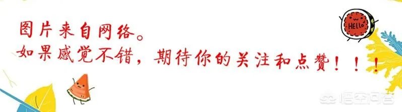 土耳其总理说美国和俄罗斯就像街头混混那样“争来斗去”，这样说的目的是什么？