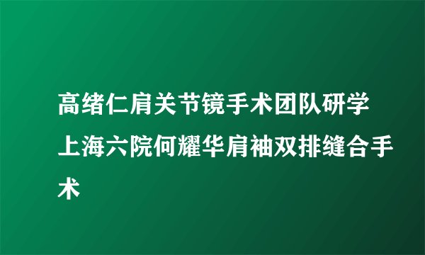 高绪仁肩关节镜手术团队研学上海六院何耀华肩袖双排缝合手术