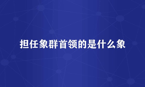 担任象群首领的是什么象