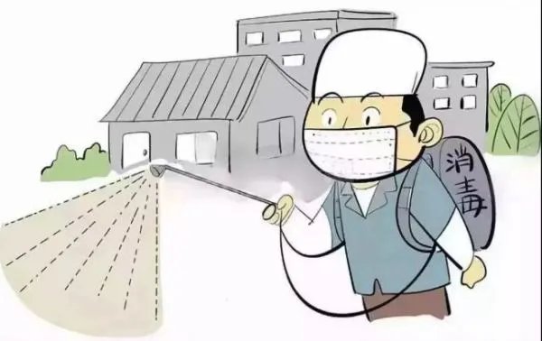专业灭鼠公司